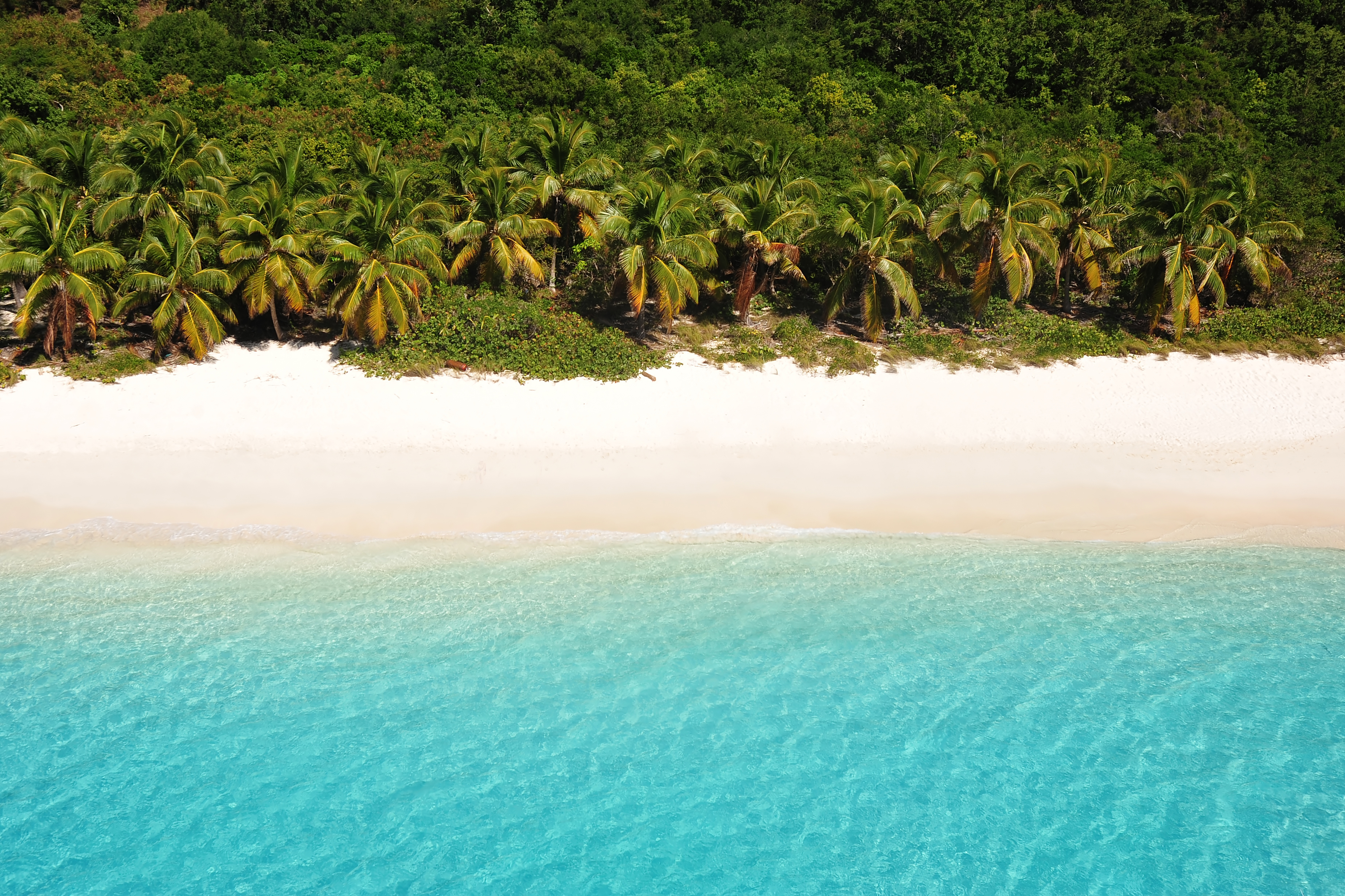 Best Island for Solo Travelers | Single Travel Ideas | Jost Van Dyke, British Virgin Islands