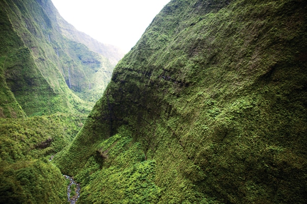 kauai.jpg