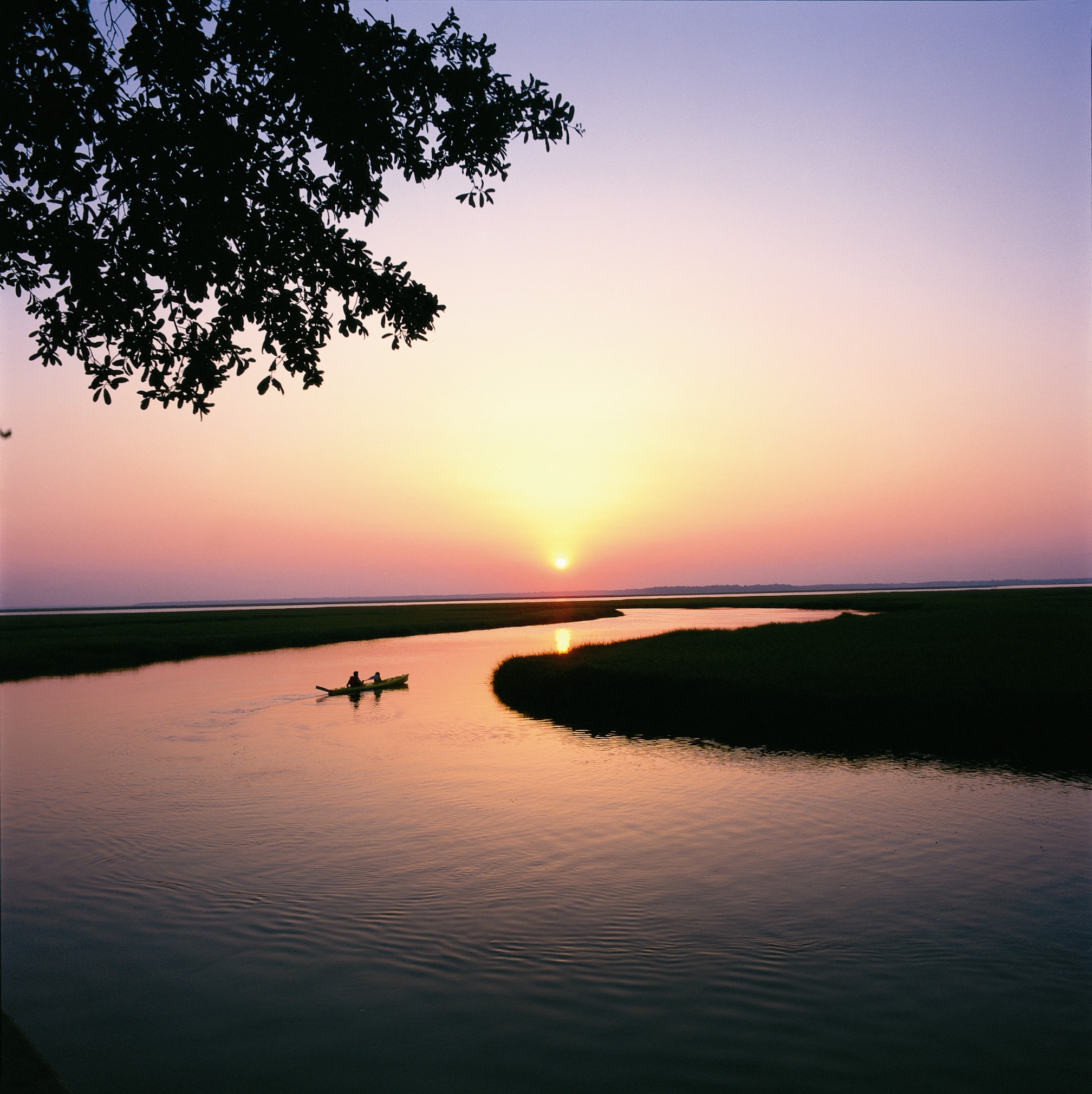 Amelia Island salt marsh