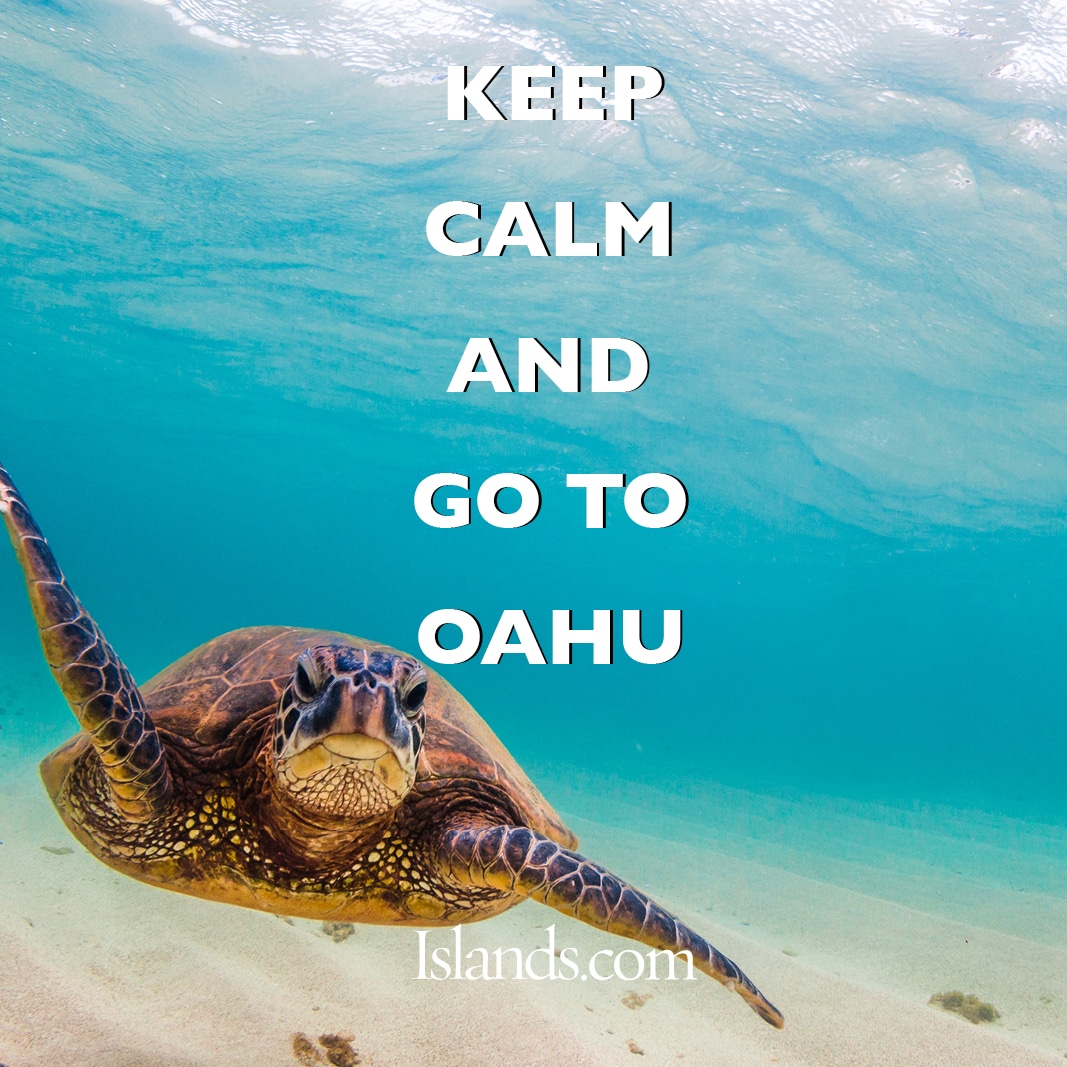 keep-calm-and-go-to-oahu