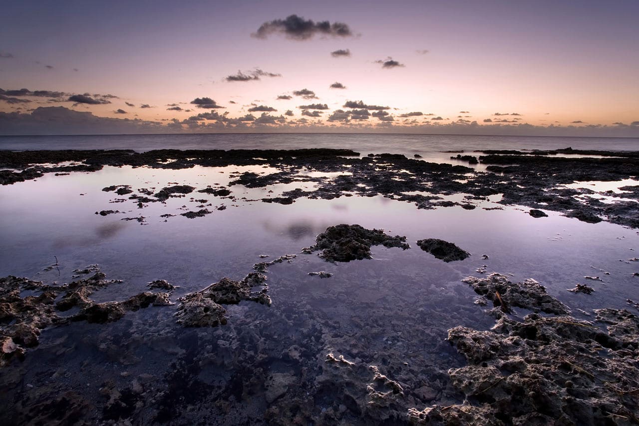 Key Biscayne Florida: Bear Cut Preserve