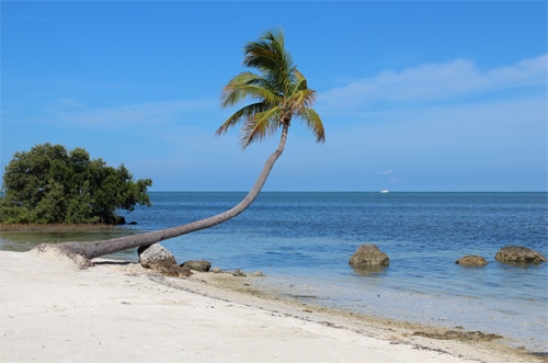 Florida Keys Road Trip | Things to Do in the Keys | Road Trip | Moorings