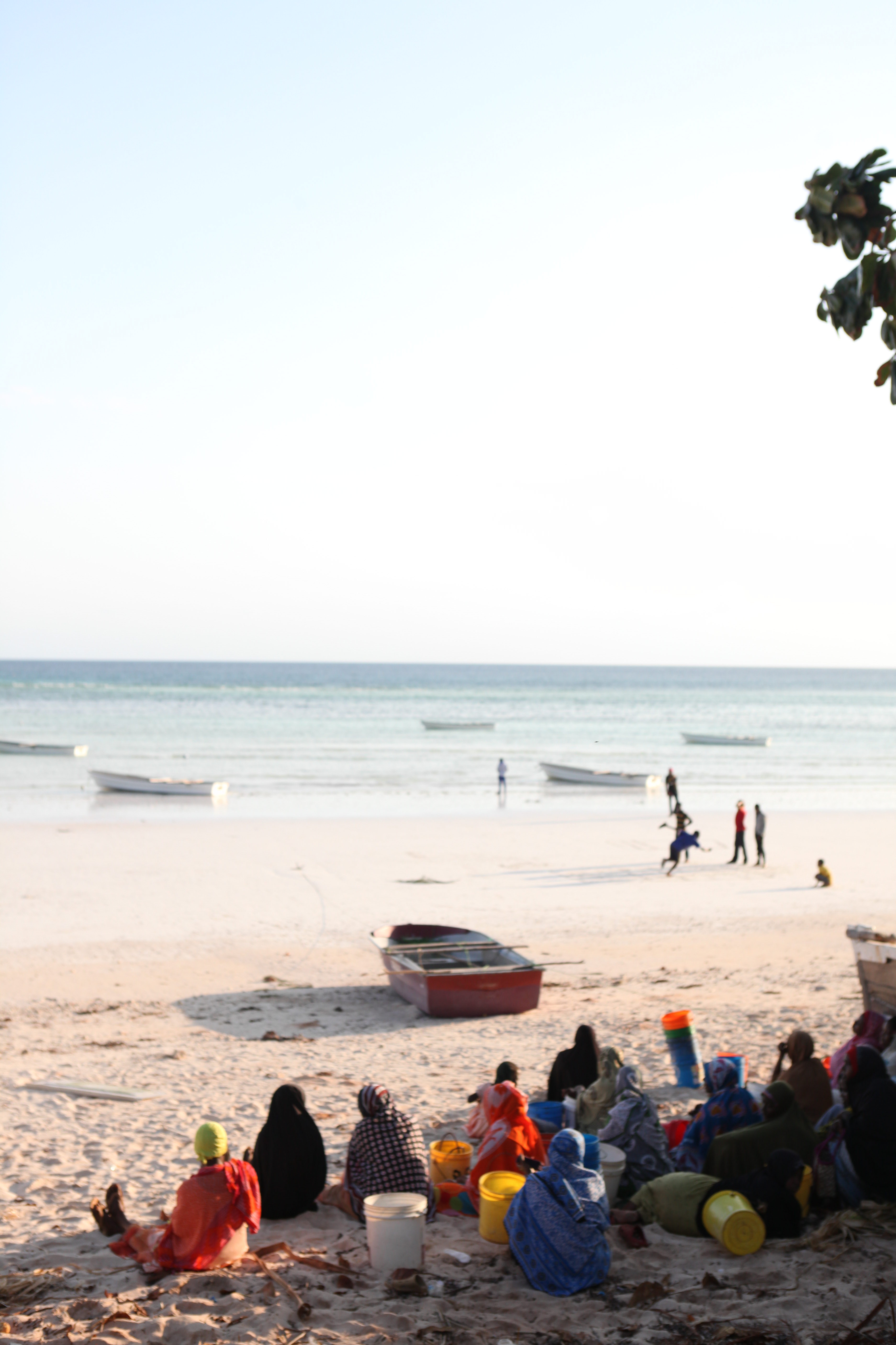 Zanzibar Travel Guide | Zanzibar Hotels | Best Things to Do in Zanzibar | Kizimkazi
