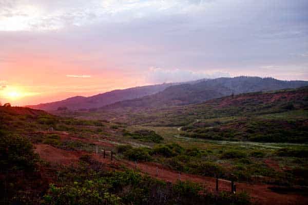 Sunsets on Lanai