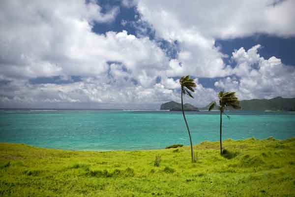 lord-howe-island-ep_stock.jpg