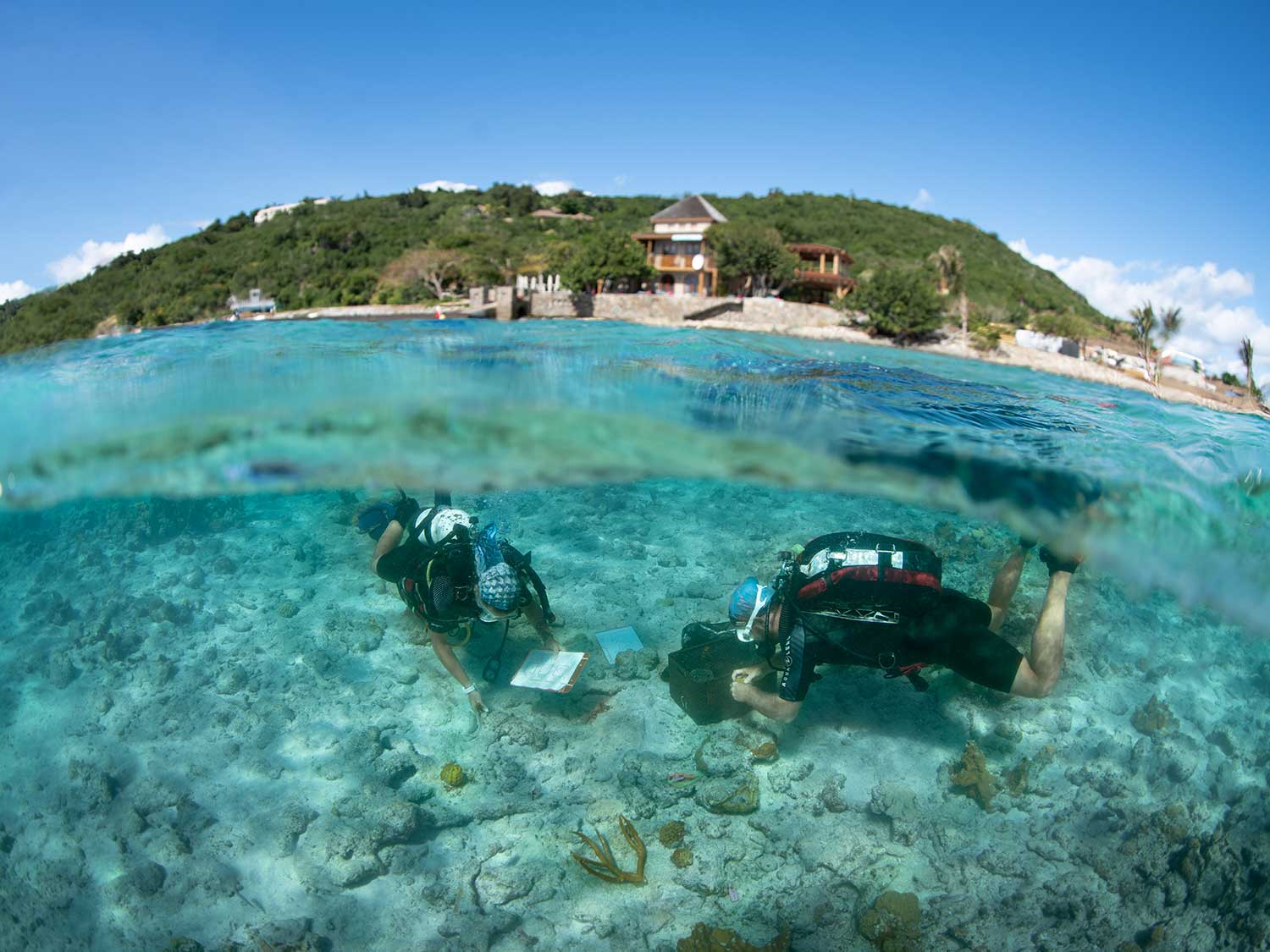 Incredible snorkeling at Lovango