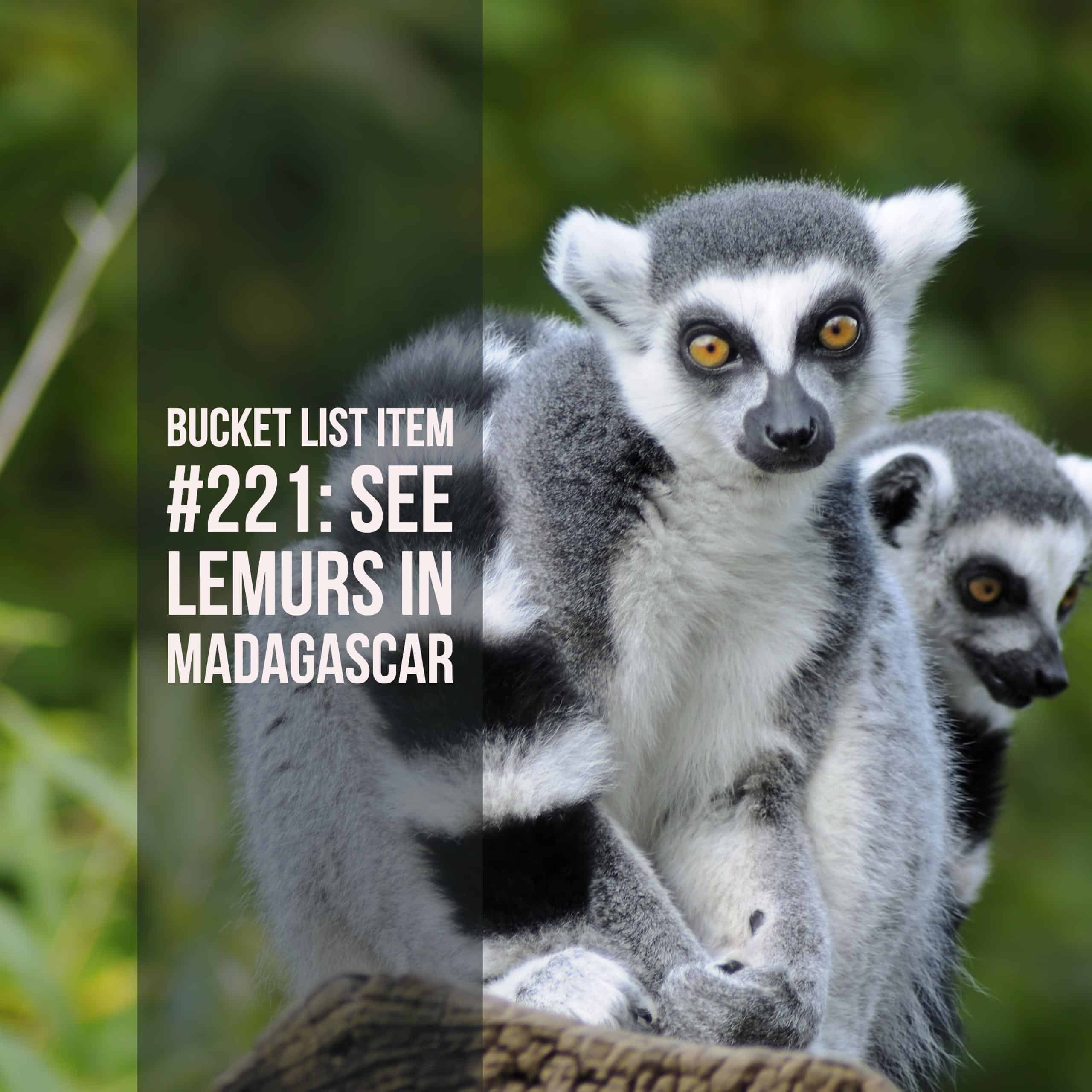 Bucket List Ideas: Madagascar