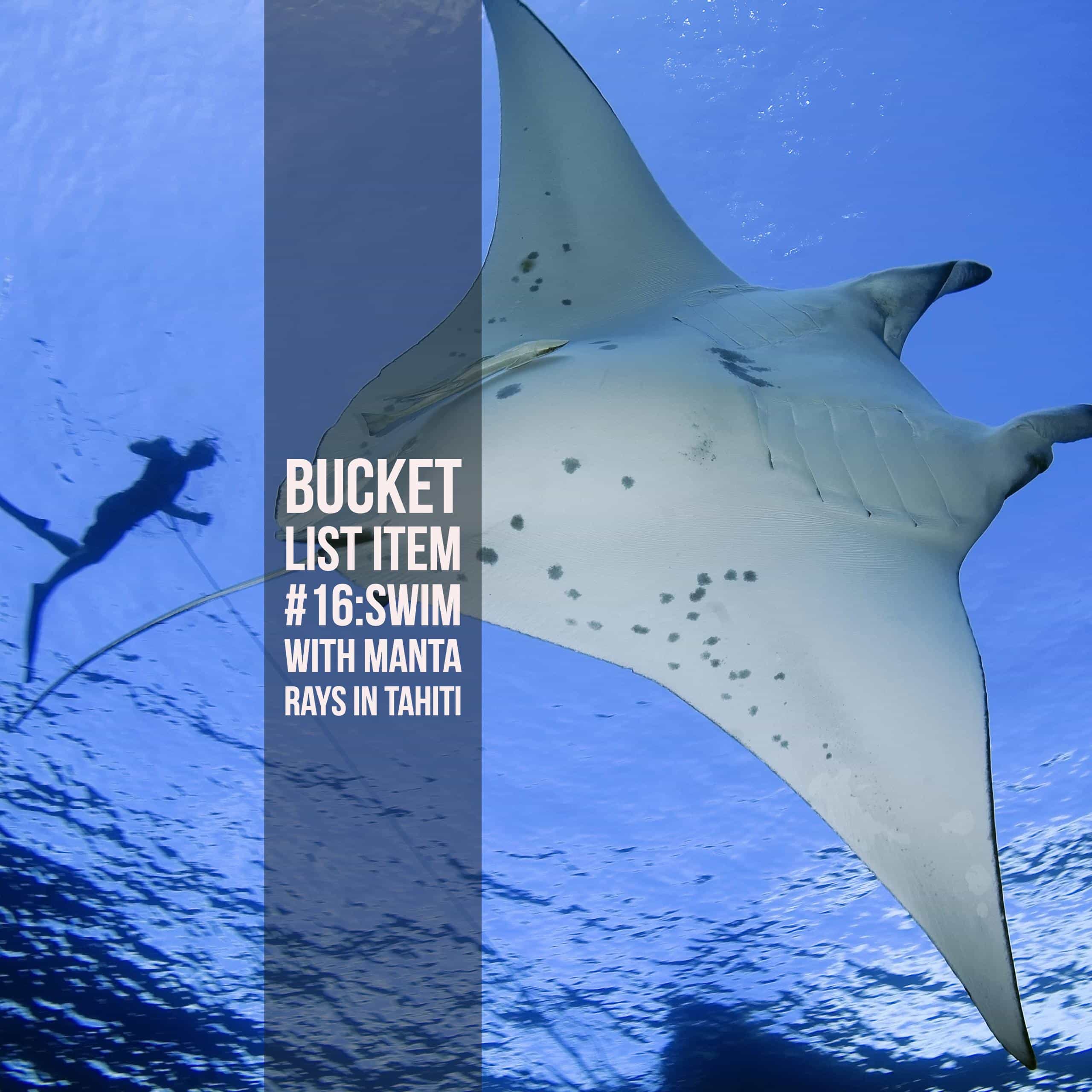 Bucket List Ideas: Swim with Manta Rays