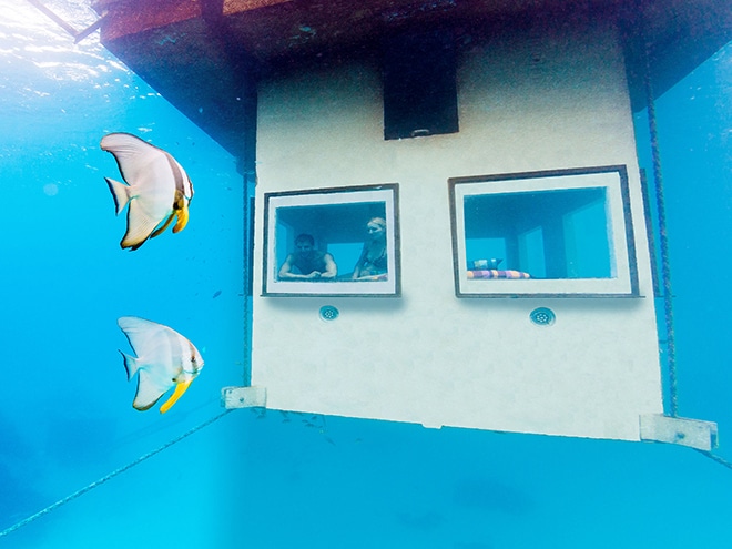 viewing the fish from the underwater room