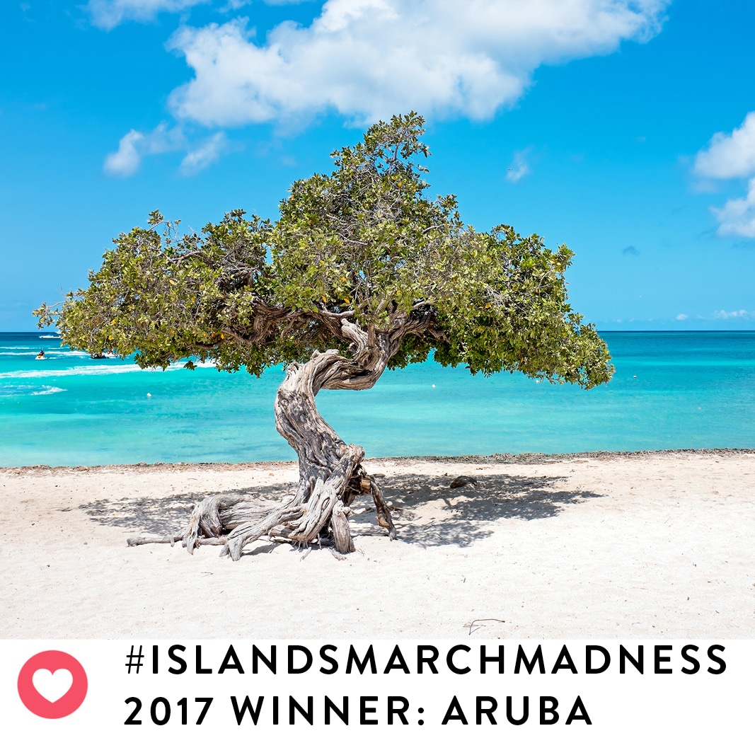 Islands March Madness Winner Aruba