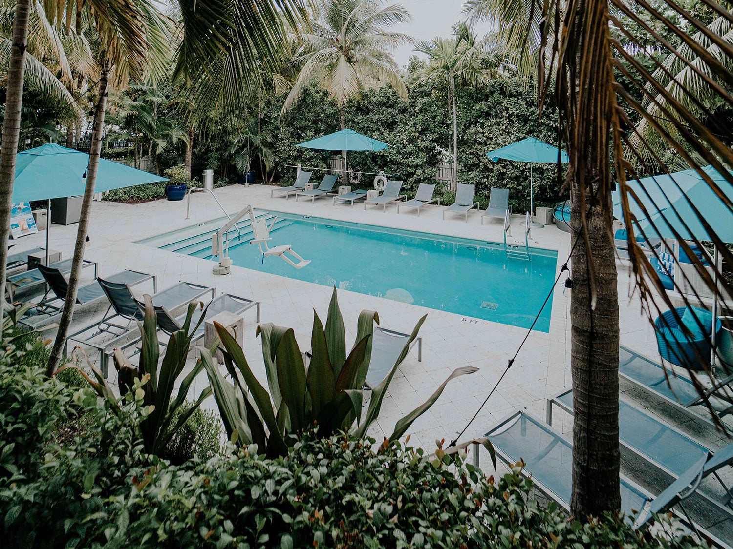 A resort style lounge pool surrounded by lush, tropical plants at The Marker Key West Harbor Resort.