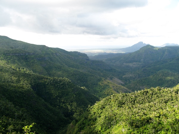 mauritius-2-blackrivergorges.jpg