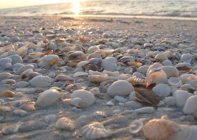 Sanibel Island