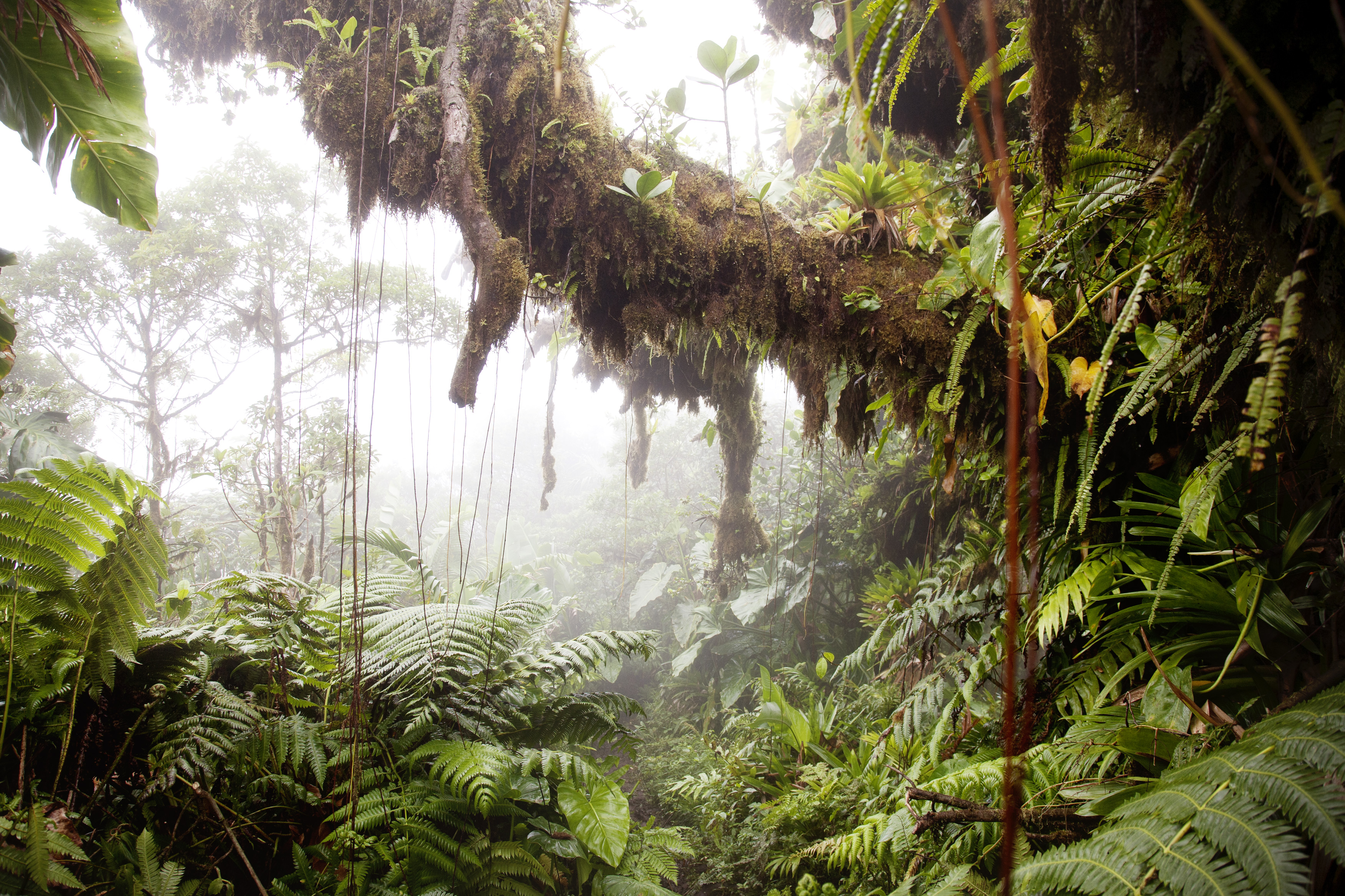 Saba Mountain Scenery