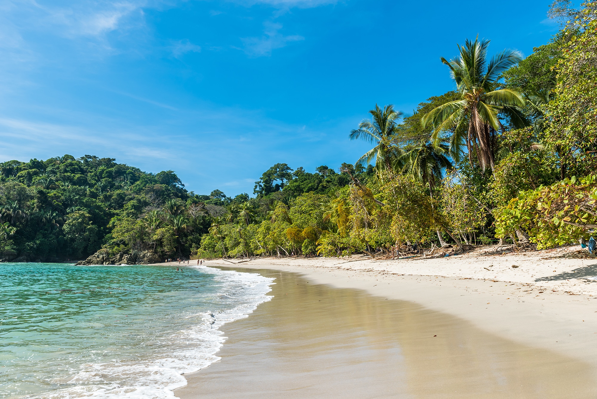 Move to Costa Rica | Living in Costa Rica | Manuel Antonio National Park