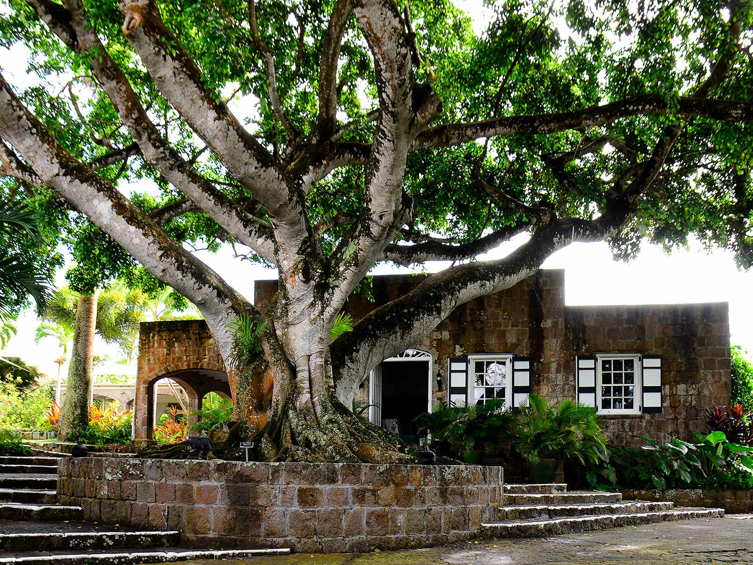 Montpelier Plantation & Beach Great Room