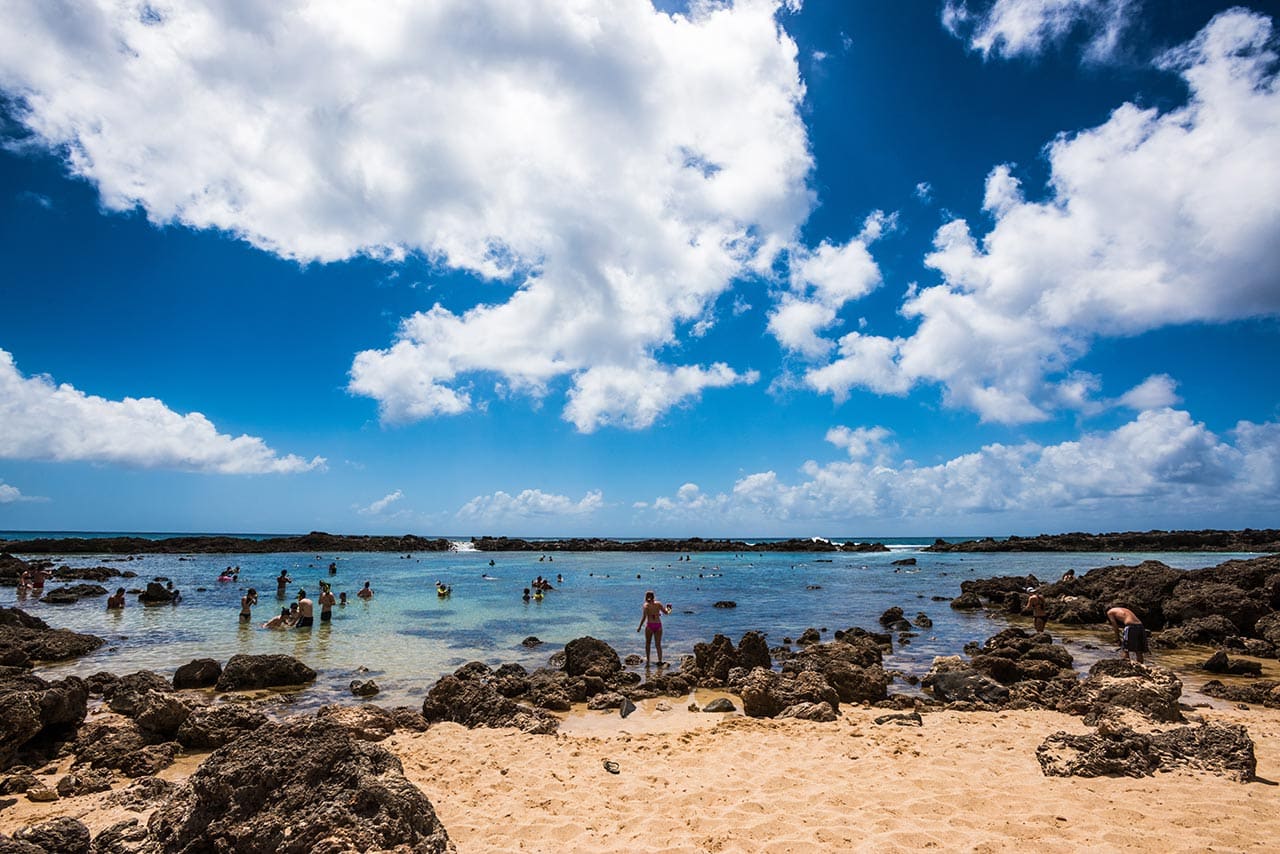 Oahu Beaches: Shark’s Cove