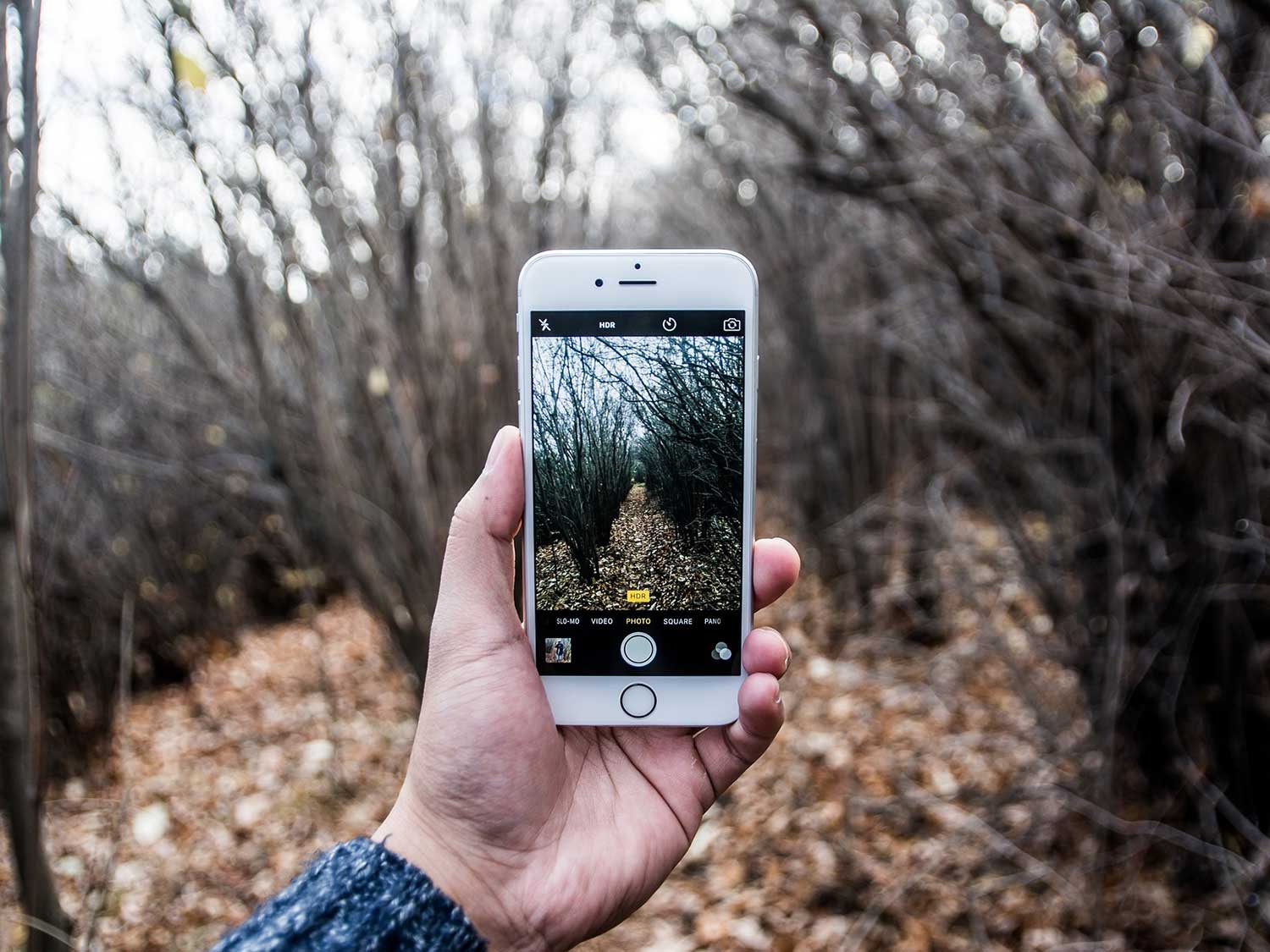 Hand holding a smartphone in the woods.
