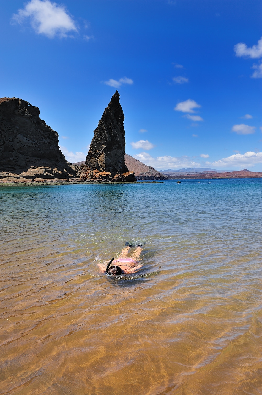 10 Resorts Where You Can Swim with Sea Turtles: Pikaia