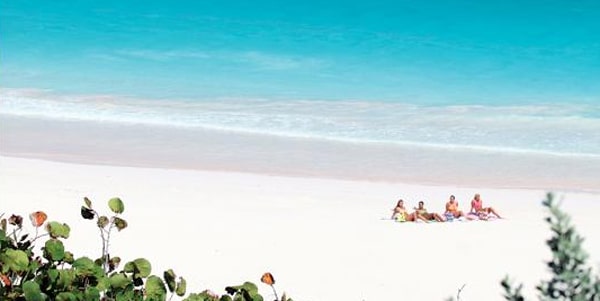 37 pink sands beach bahamas
