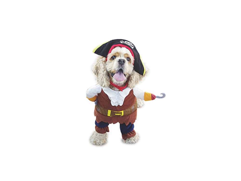 Pirate-Dog-Costume
