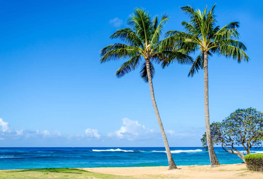 Hawaii Beaches | Poipu Beach