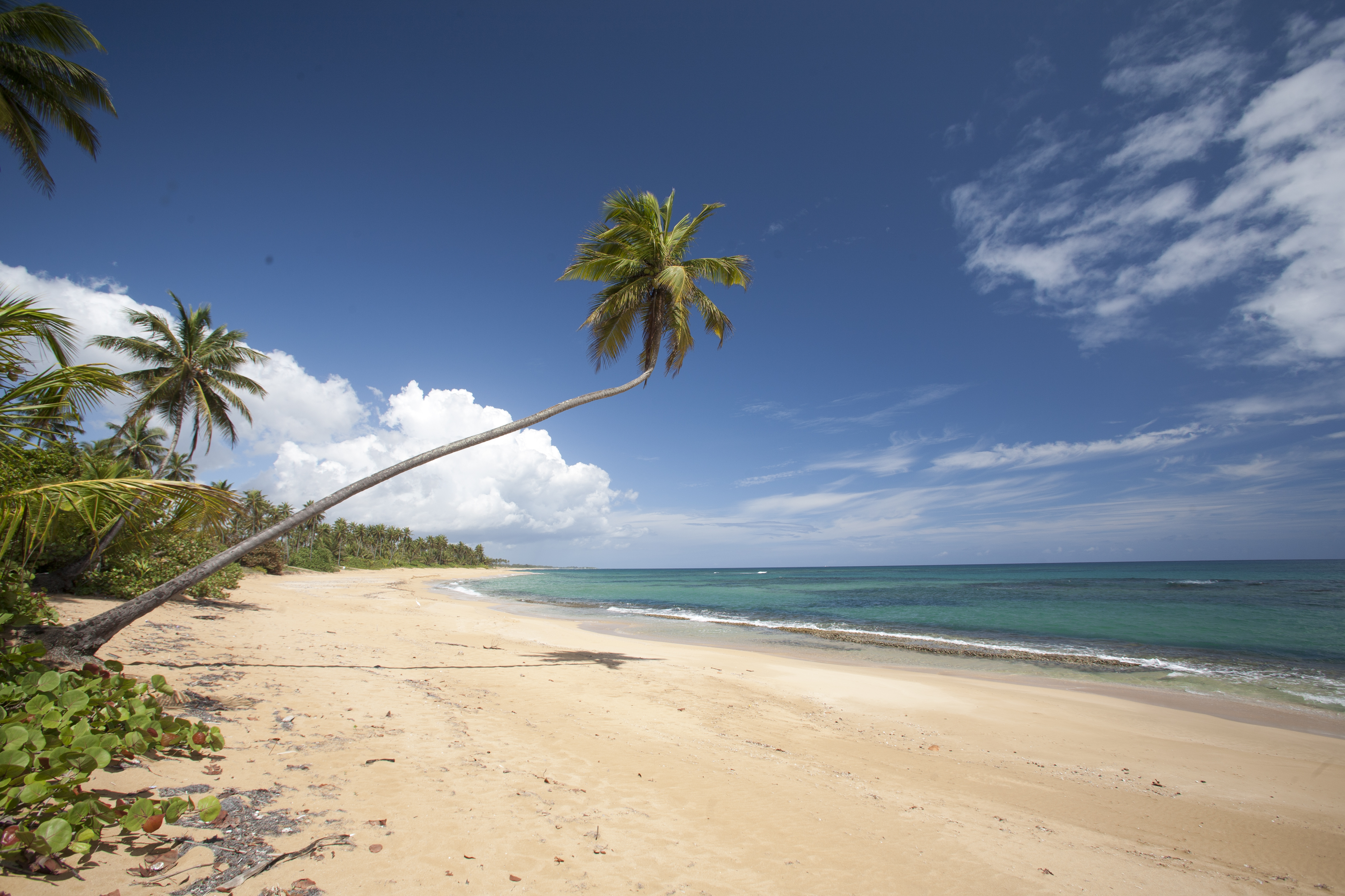 Nonstop Flights from New York to Caribbean | Direct Flights to Caribbean | Puerto Rico Travel
