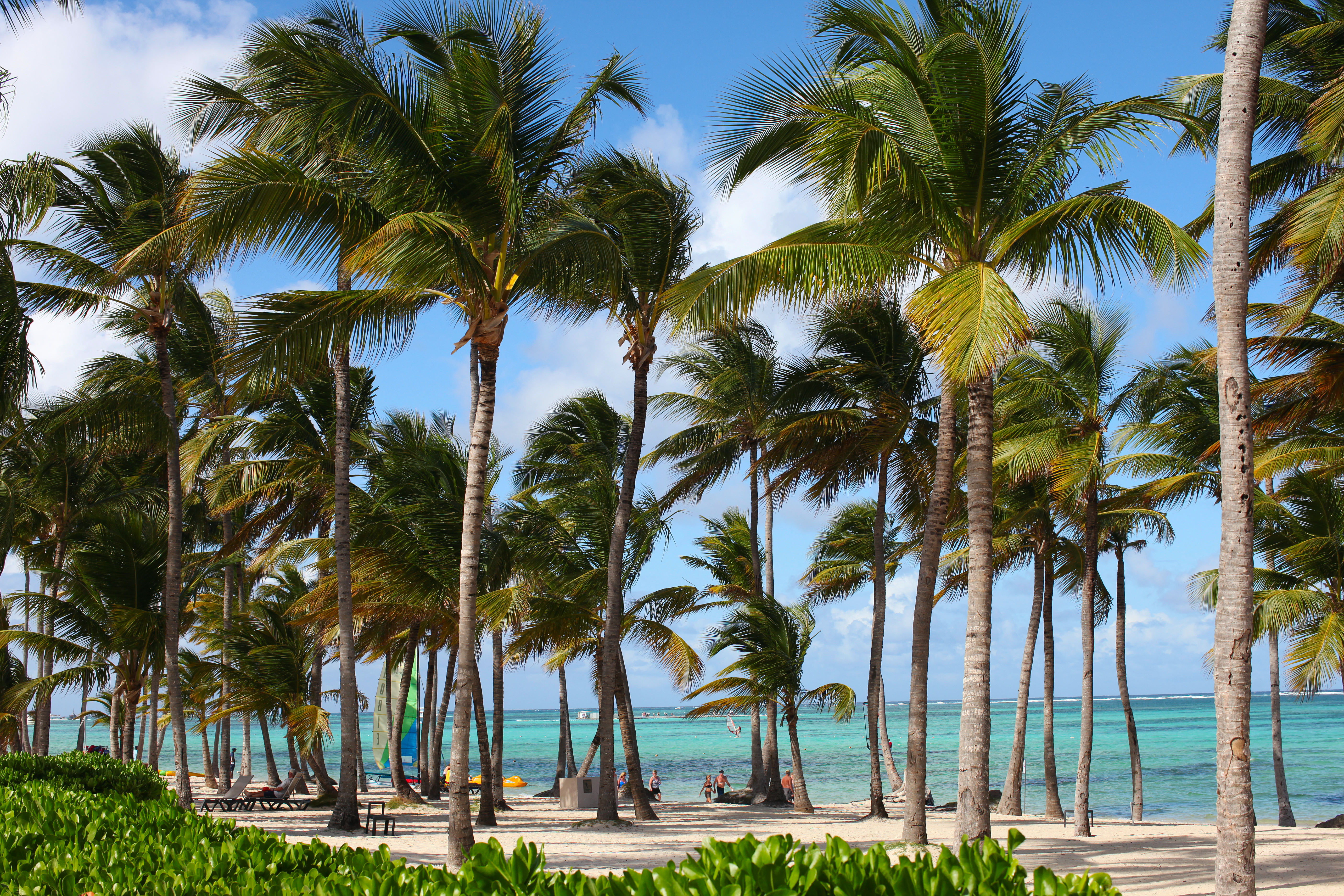 Easy and Exotic Escapes with Nonstop Flights | Punta Cana