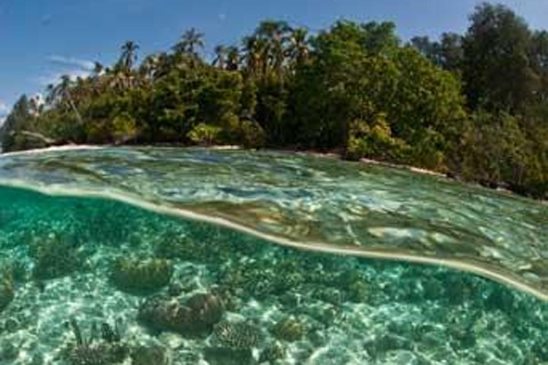 26 raja ampat diving indonesia snorkeling