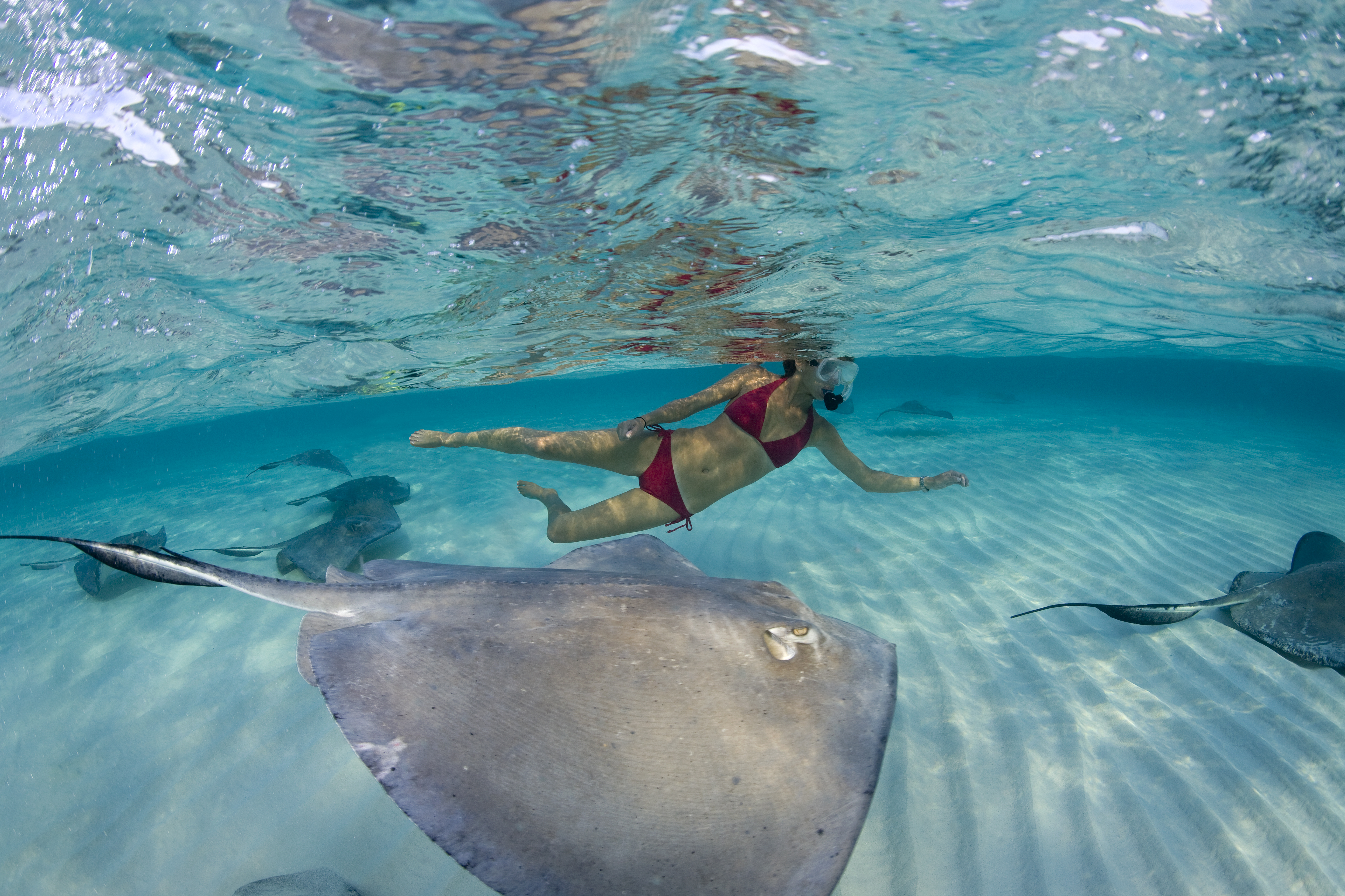 Best Family Vacations: Cayman Islands