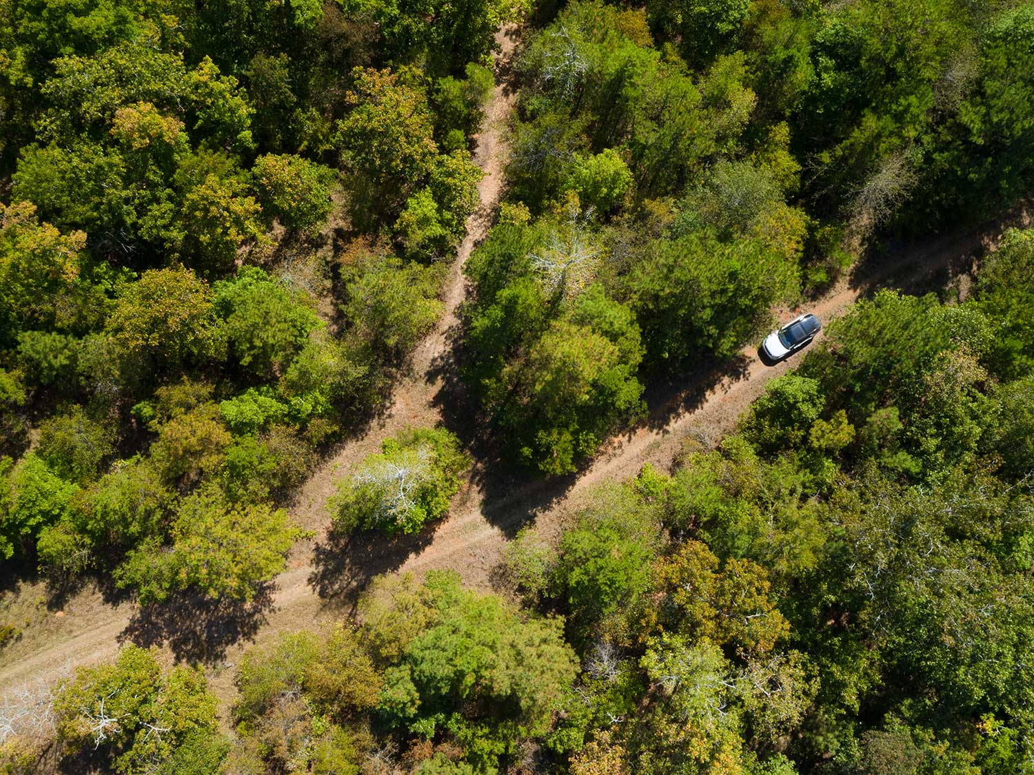 Aerial view of the Sandy Creek sporting grounds at Reynolds Lake Oconee, where guests can drive a Land Rover through the woods.