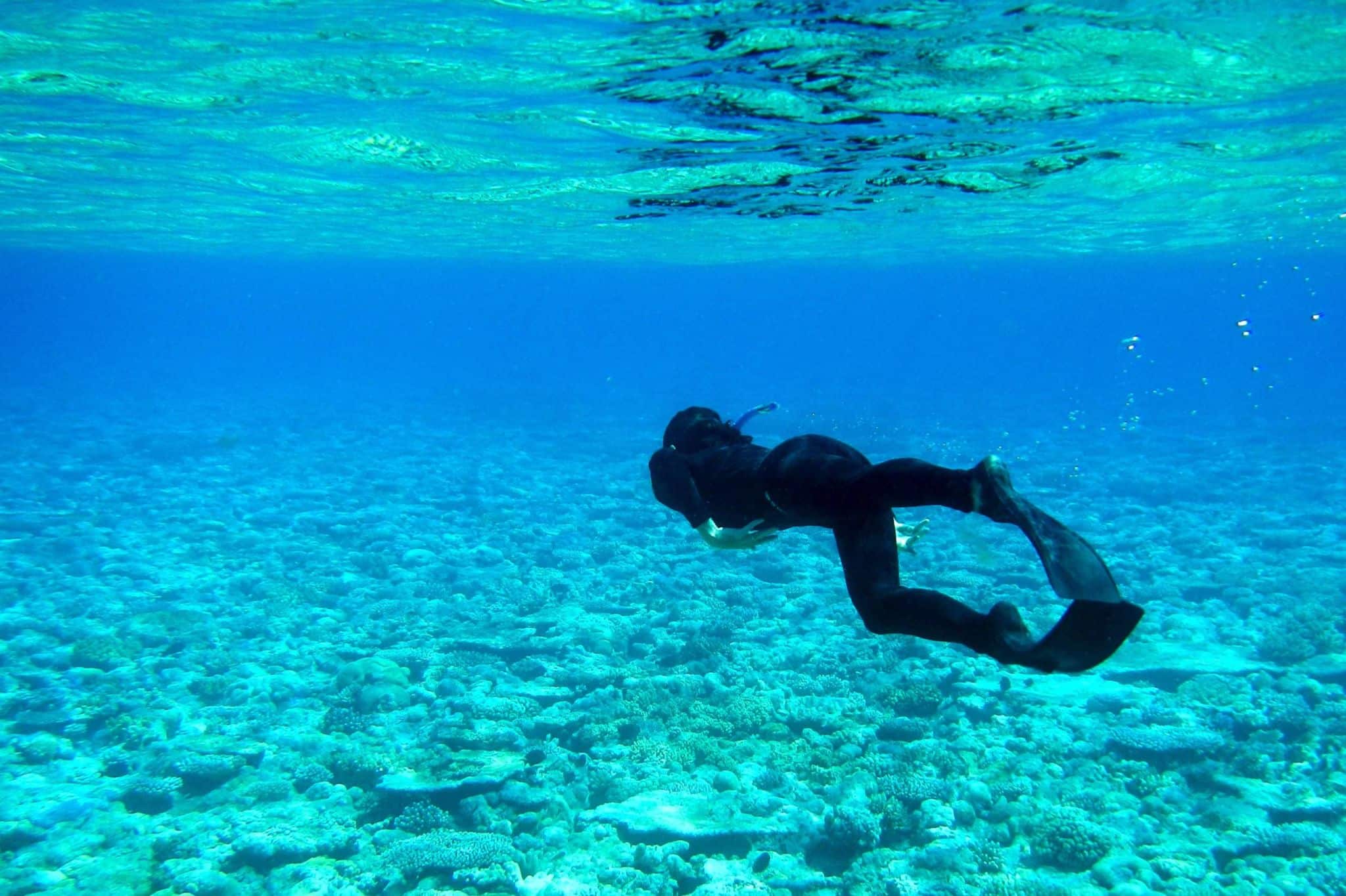 Rowley Shoals: Australia's Best-Kept Secret | Adventure Vacations