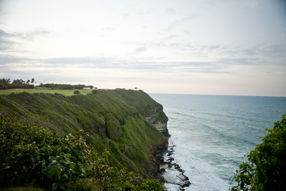 royal isabela_img_4974.jpg