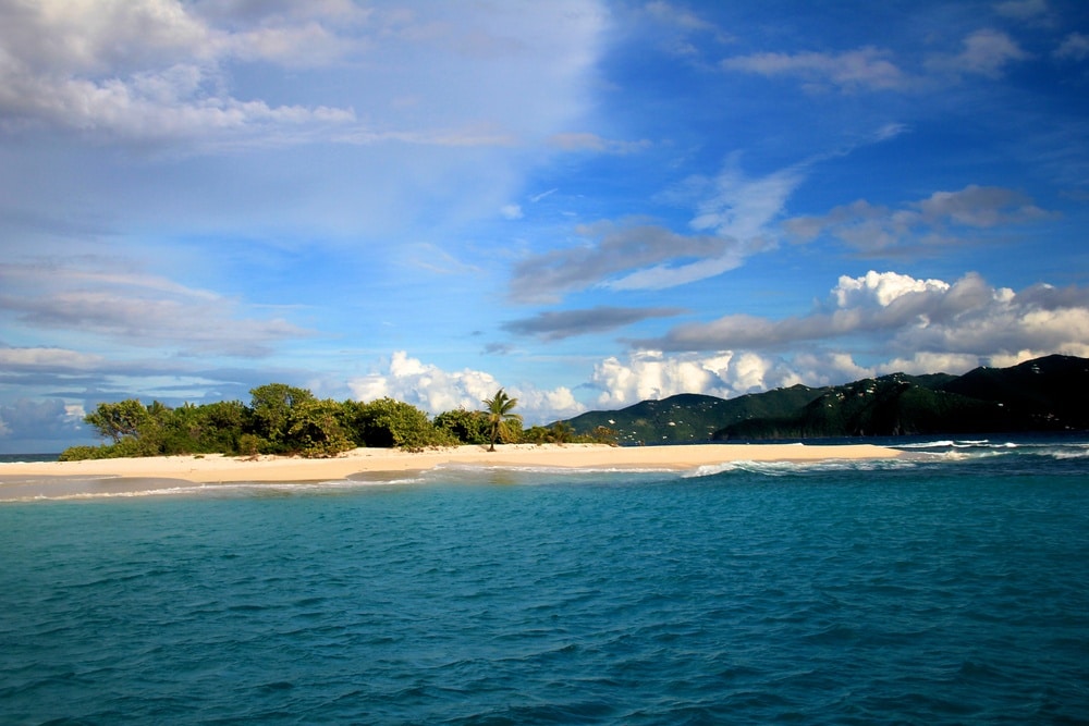 Sandy Spit by Jane Mottern