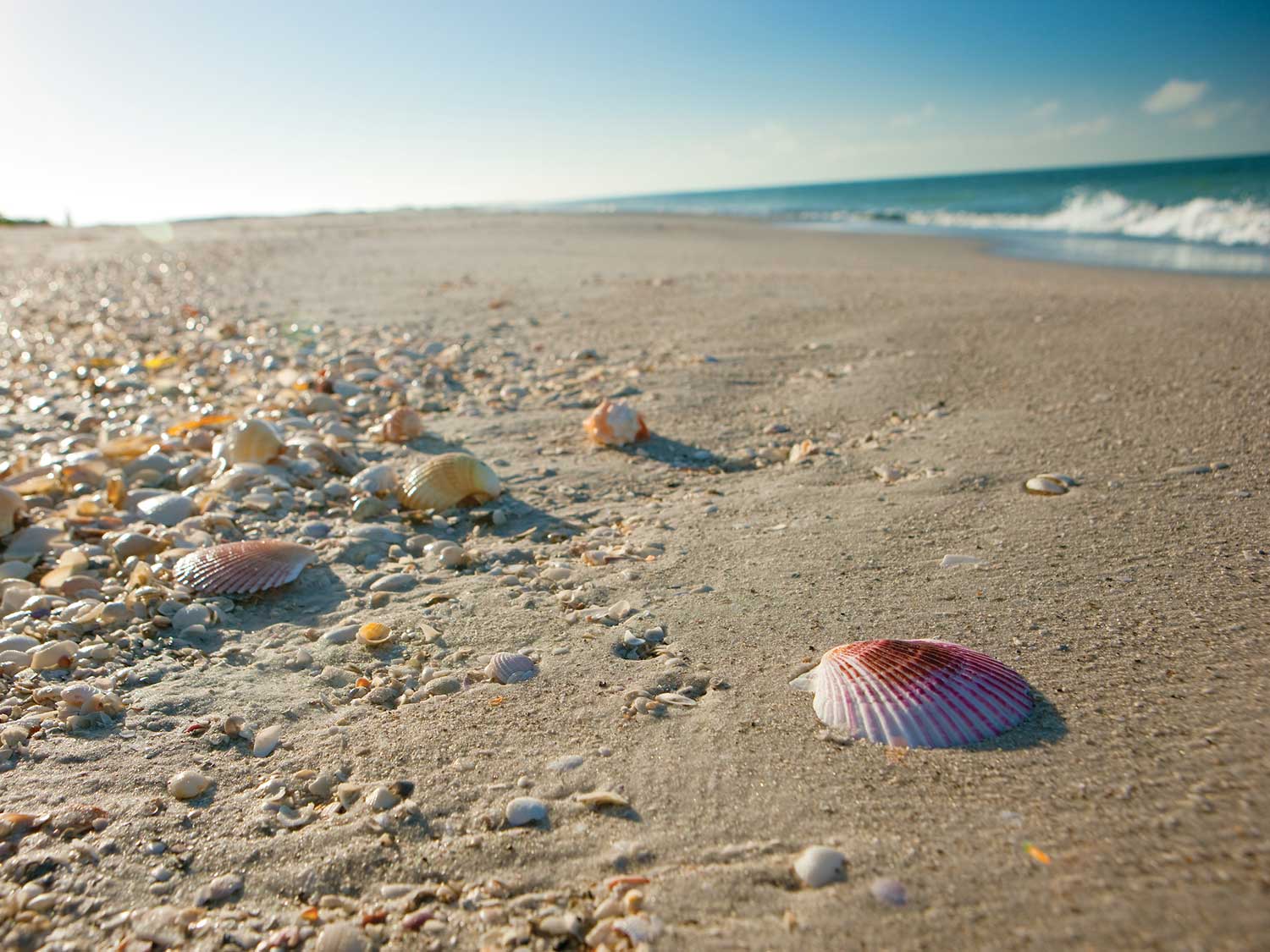 Sanibel