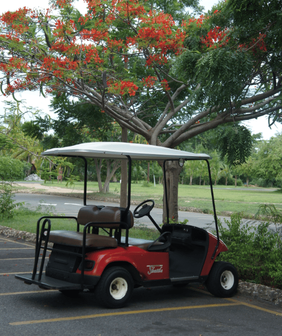 Casa de Campo Luxury Resort | All Inclusive Dominican Republic | Celebrity Kardashian Vacation | Golf