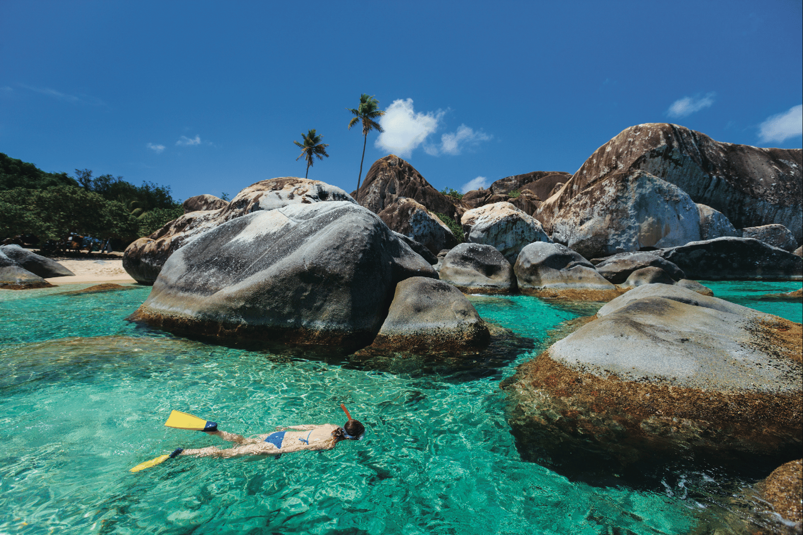 Snorkeling in the British Virgin Islands