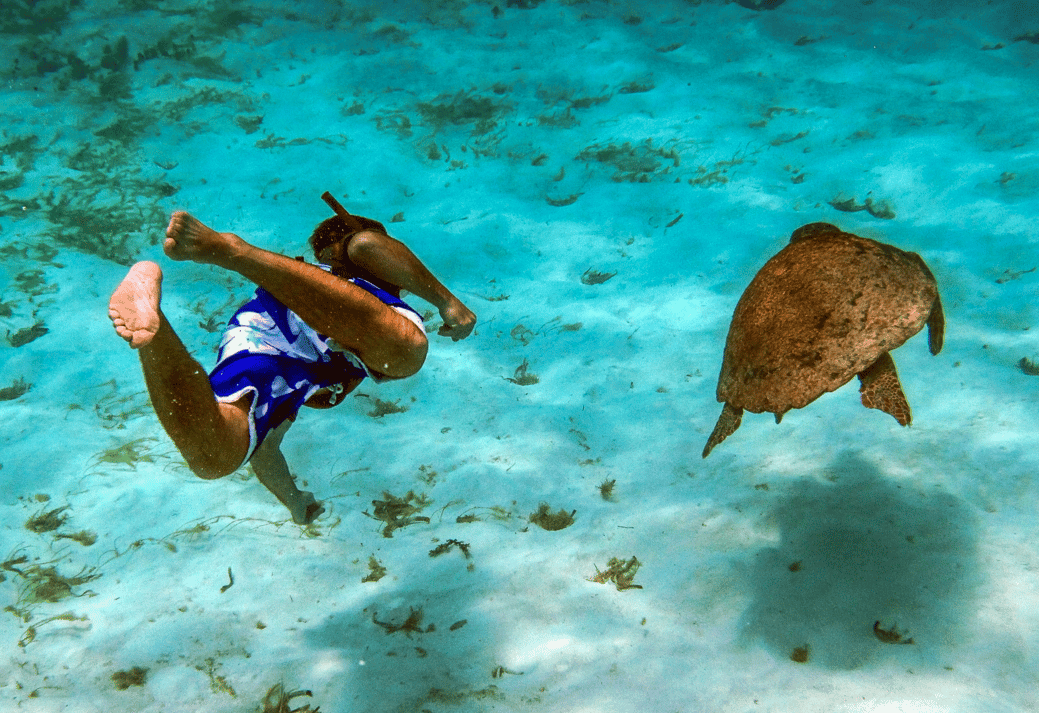 Turtle Inn Belize | Best Snorkeling Resorts