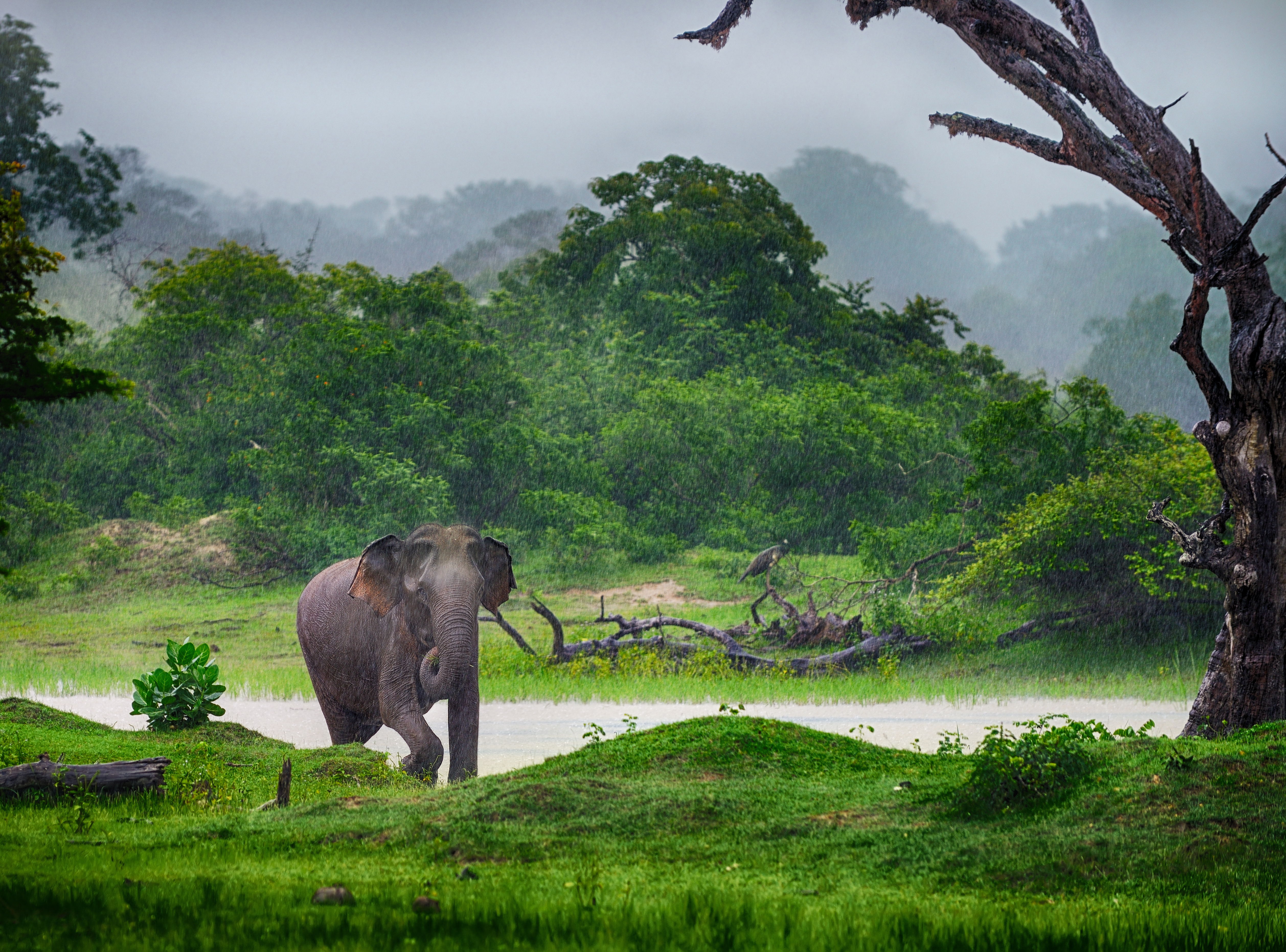 Best Places to Travel in 2016 Sri Lanka