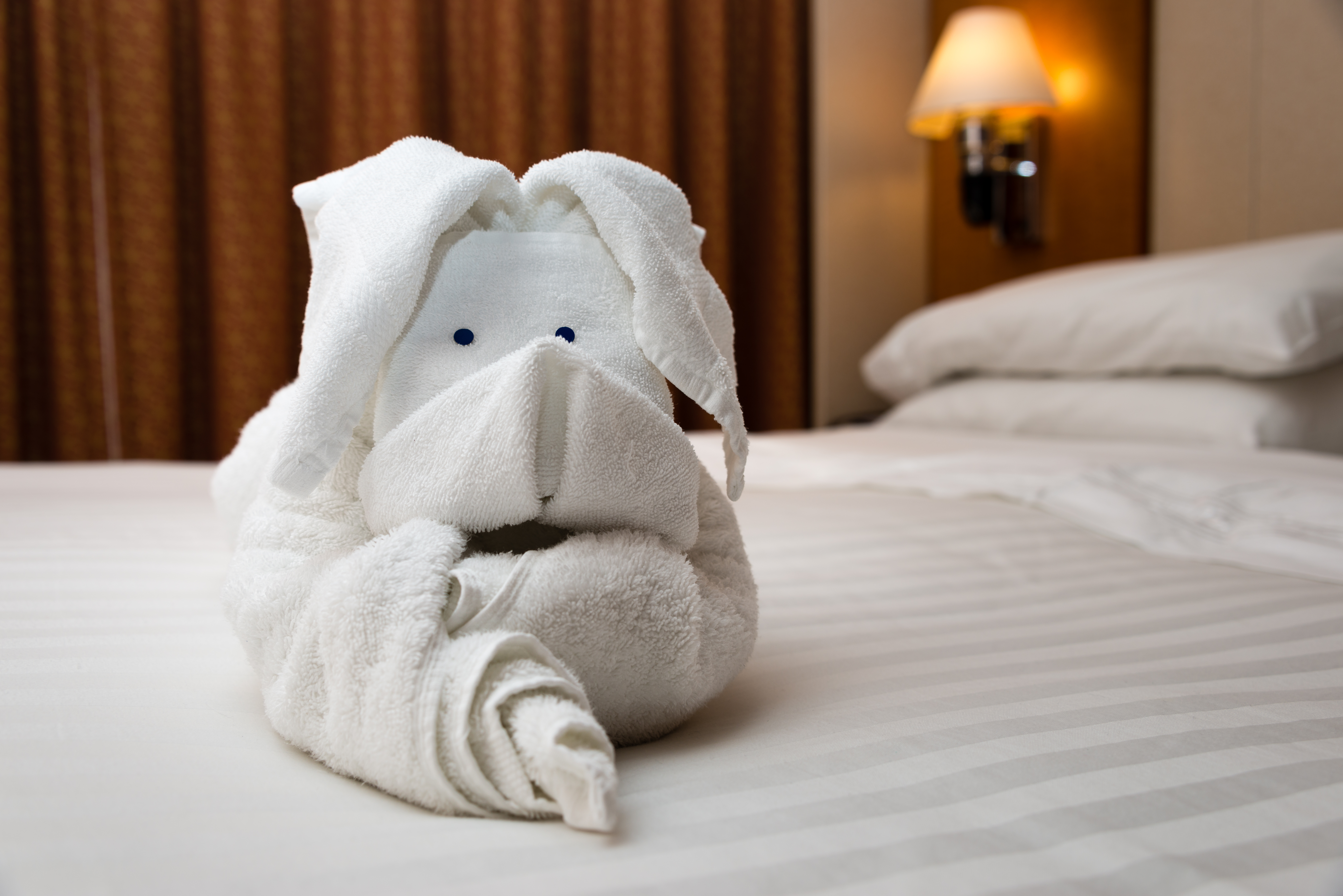 Cruise Towel Animal