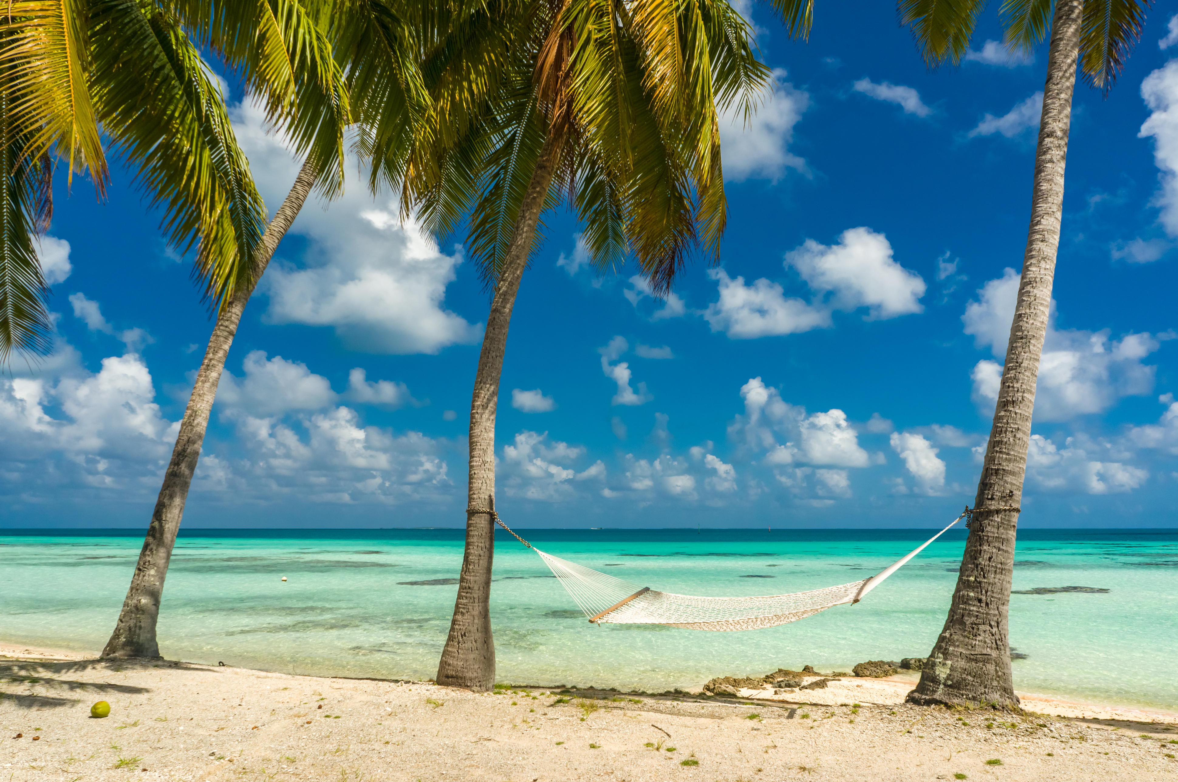 Best Beach Hammocks