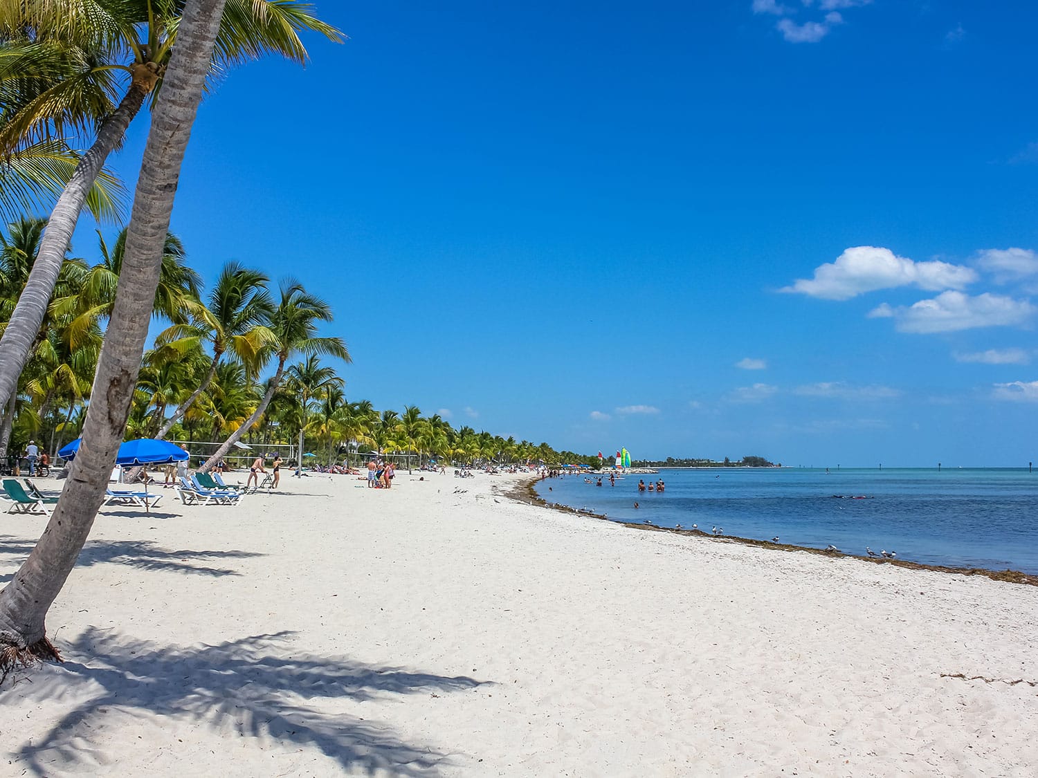 smathers beach shutterstock