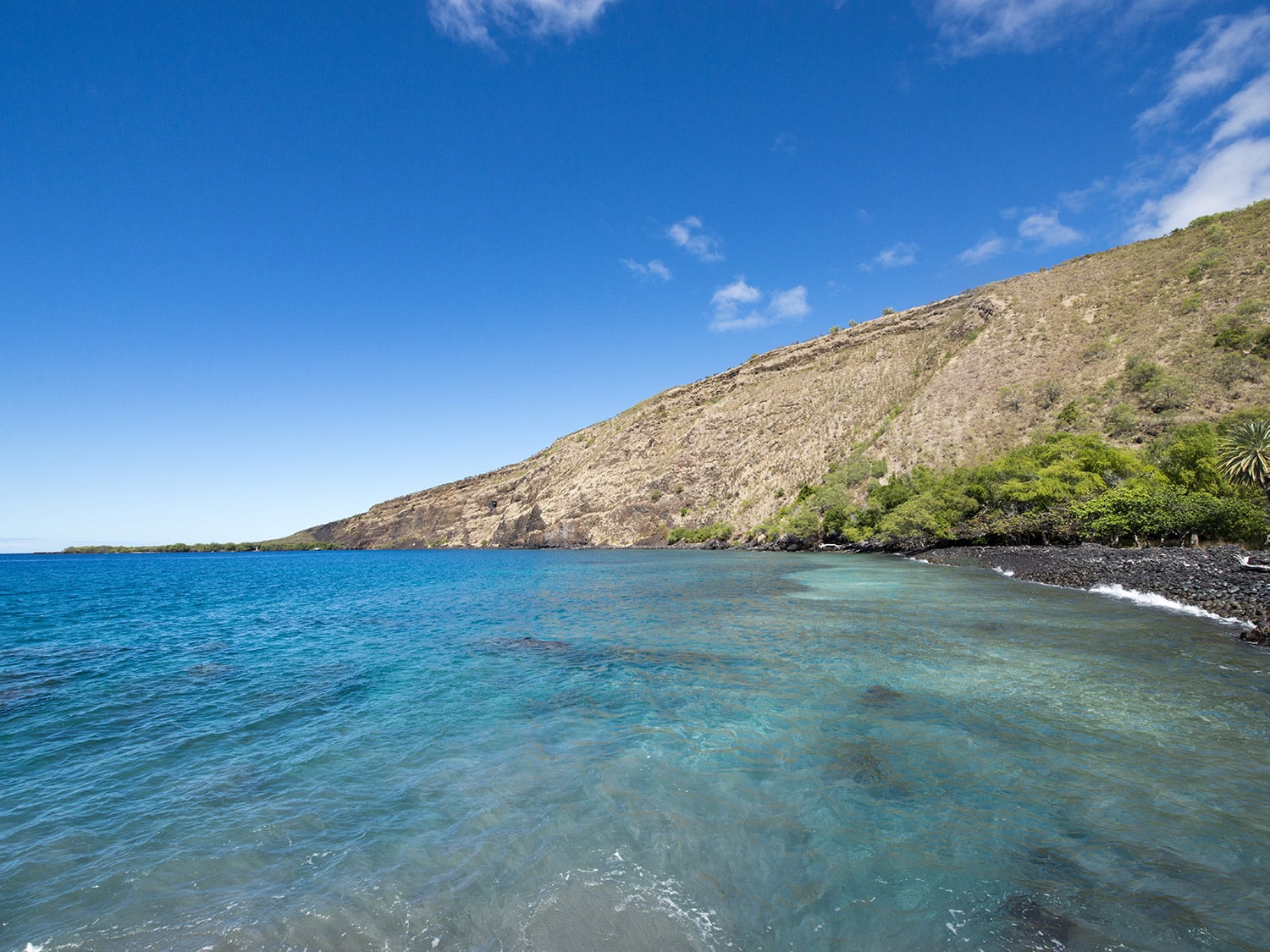 Best Snorkeling in Big Island Hawaii - Kealakekua Bay State Park