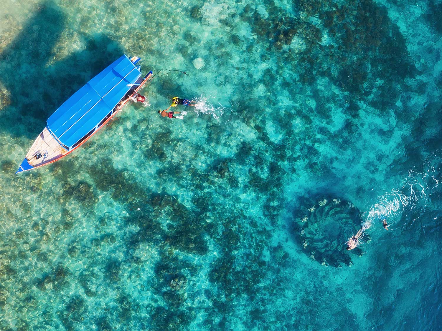 Snorkeling