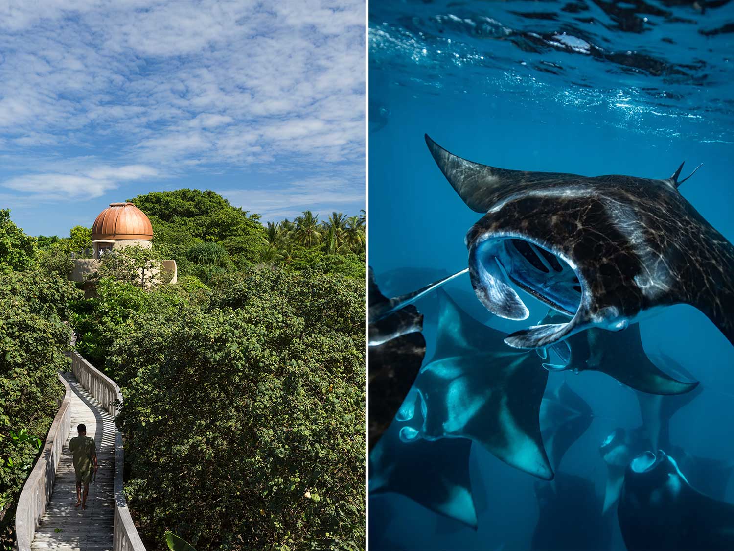 Side-by-side images of a temple of a walkway and an underwater image of a school of manta rays.