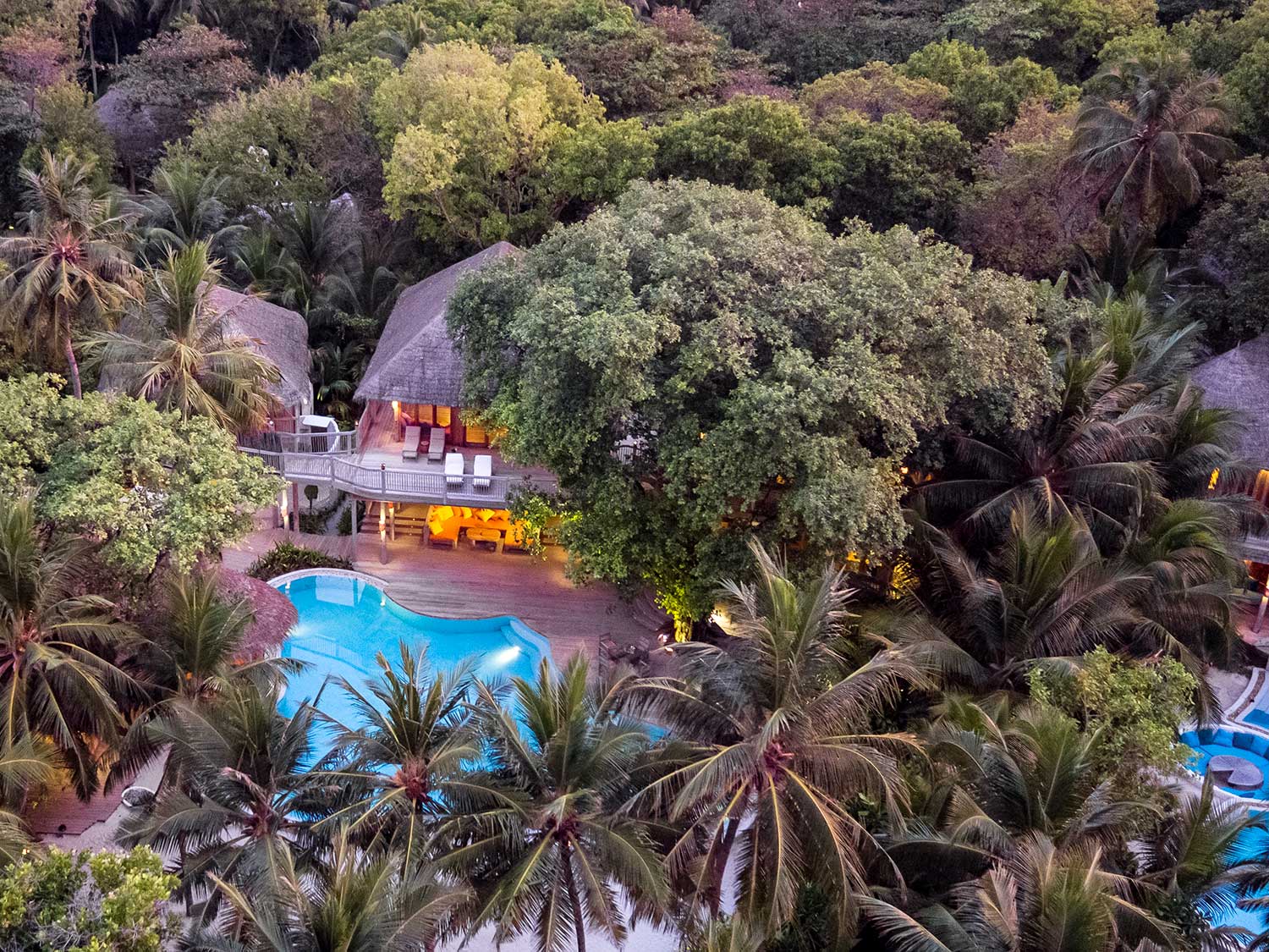 A resort-style pool and area surrounded by lush trees.