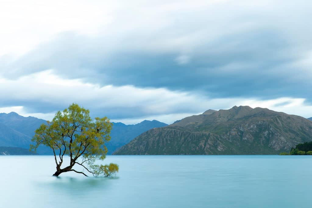 South Island New Zealand Things to Do: Lake Wanaka