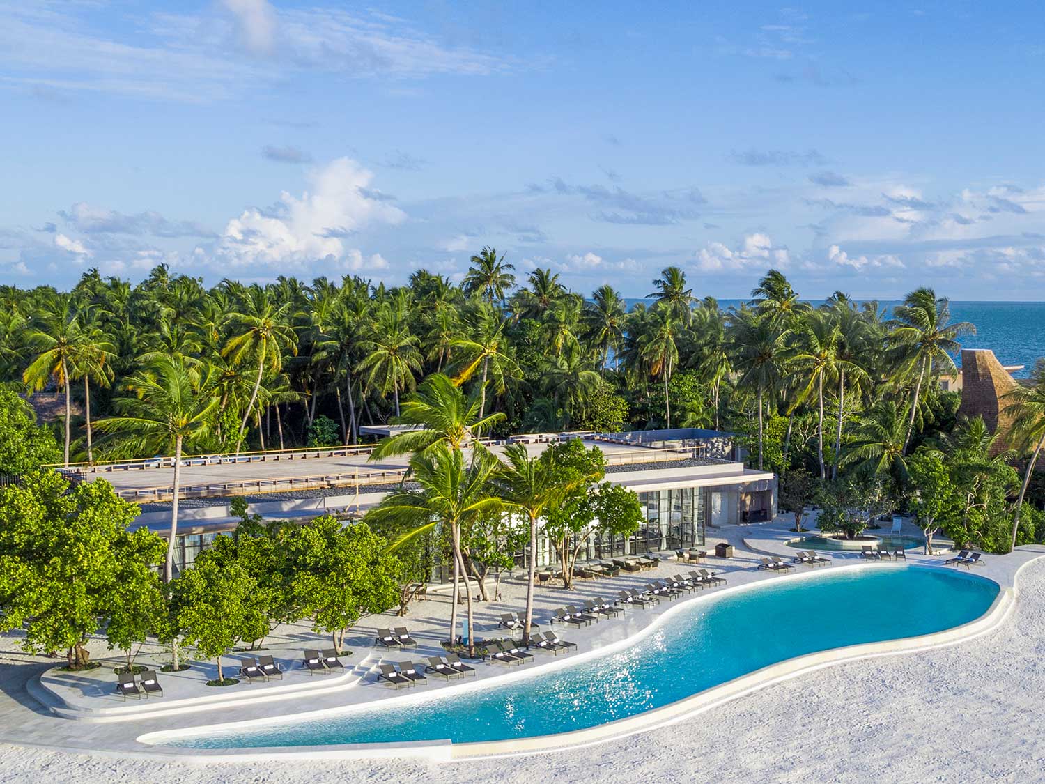 A large beach resort pool surrounded by palm trees.