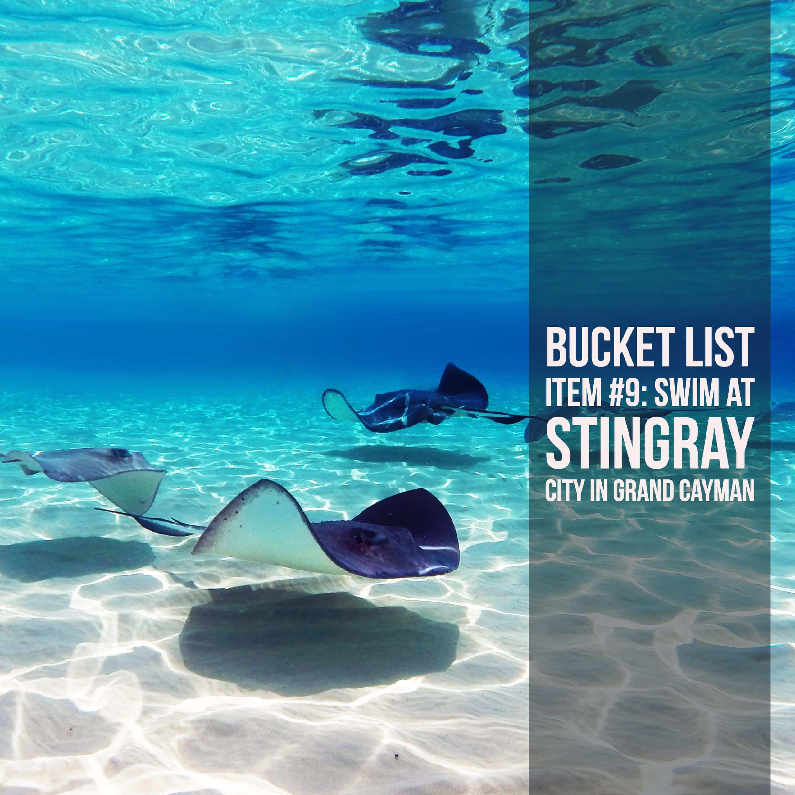Bucket List Ideas: Stingray City, Grand Cayman