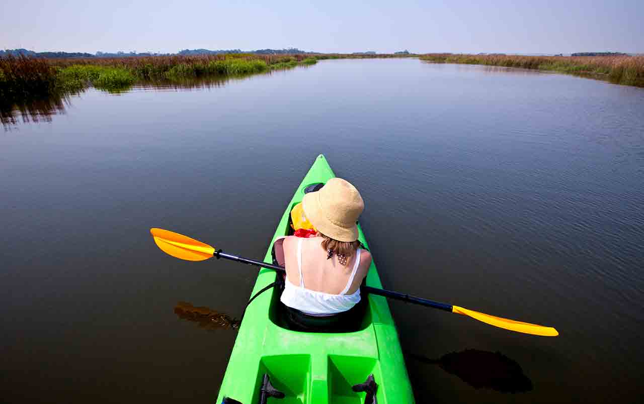 Sustainable Travel and Ecotourism Islands: Little St. Simons Island